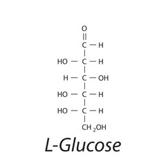Straight chain form chemical structure of L-Glucose sugar. Scientific vector illustration on white background.
