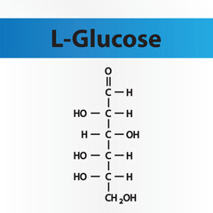 Straight chain form chemical structure of L-Glucose sugar. Scientific vector illustration on white and blue background.