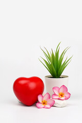Red heart with flowers with decorative plant isolated on white background. valentine concept. vertical. 