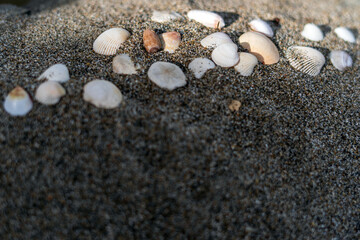 Seashells on the sand for sea summer vacation background