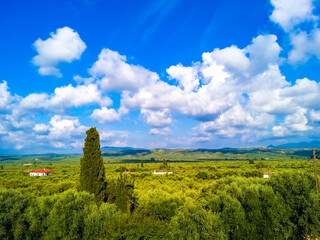 Rural Mediterranean landscape