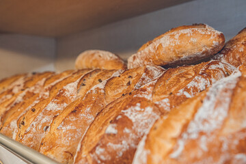 horizontal photo of whole grain breads in a bakery