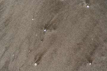 Natural texture of beach sand