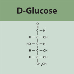 Straight chain form chemical structure of D-Glucose sugar. Scientific vector illustration on green background.