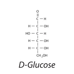 Straight chain form chemical structure of D-Glucose sugar. Scientific vector illustration on white background.