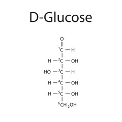 Straight chain form chemical structure of D-Glucose sugar. Scientific vector illustration on white background, with carbon numbering.