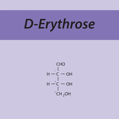 Straight chain form chemical structure of D-Erythrose sugar. Scientific vector illustration on purple background, carbon numbering.