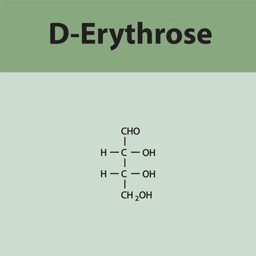 Straight chain form chemical structure of D-Erythrose sugar. Scientific vector illustration on green background.