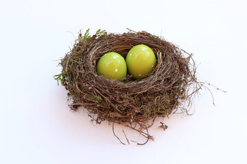 Vogelnest mit Osterei.