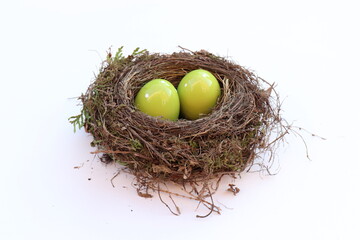 Obraz premium Vogelnest mit Osterei.