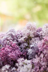 Zelfklevend Fotobehang Beautiful lilac flowers on windowsill in sunny room. Summer cottage decor with flowers. Pink and purple lilacs in rustic home. © sonyachny