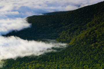 mist drifting clouds in a mountainous area, fog is over the top of a hill beside trees,