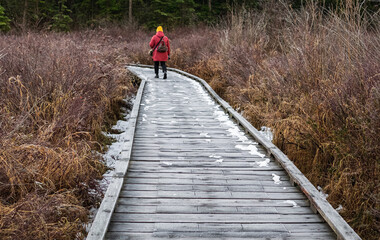 Eco path wooden walkway, ecological trail path - route walkways laid in the forest. Woman walks on...