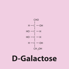 Straight chain form chemical structure of D-Galactose sugar. Scientific vector illustration on pink background.