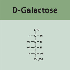 Straight chain form chemical structure of D-Galactose sugar. Scientific vector illustration on green background.