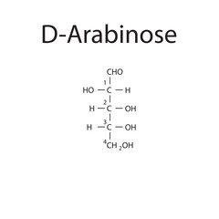 Straight chain form chemical structure of D-Arabinose sugar. Scientific vector illustration on white background, with carbon numbering.