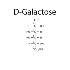 Straight chain form chemical structure of D-Galactose sugar. Scientific vector illustration on white background, with carbon numbering.