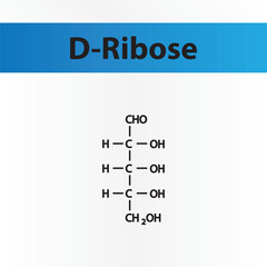 Straight chain form chemical structure of D-Ribose sugar. Scientific vector illustration on white and blue background.