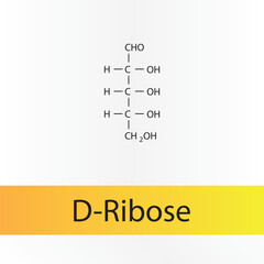 Straight chain form chemical structure of D-Ribose sugar. Scientific vector illustration on white and orange background.