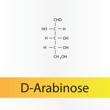Straight chain form chemical structure of D-Arabinose sugar. Scientific vector illustration on white and orange background.