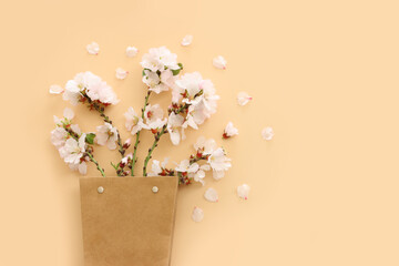 image of spring white cherry blossoms tree over yellow pastel background