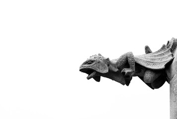 Iguana del panteón