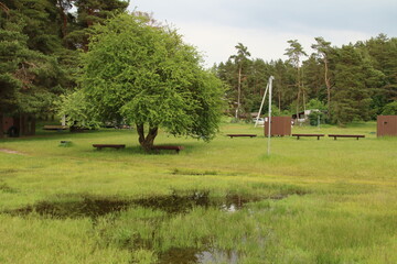 photo beach cabins in the meadow near the forest after the rain