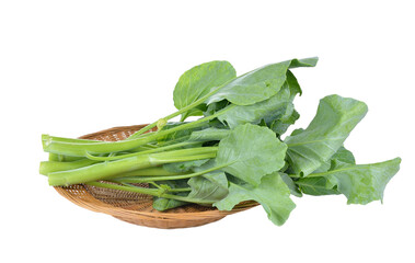 chinese broccoli  on  transparent png