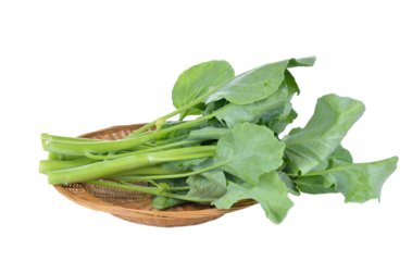 chinese broccoli  on  transparent png