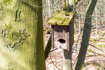 very old birdhouse on tree