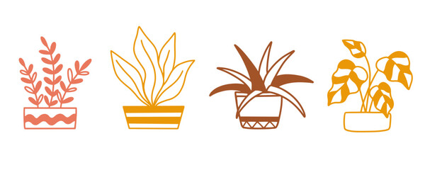 Potted houseplants in pots, House plants set