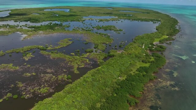 Aerial view of Cayo Centro small island, Biosfera Natural Reserve, Quintana Roo, Mexico.