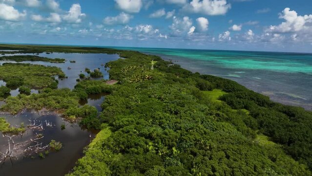 Aerial view of Cayo Centro small island, Biosfera Natural Reserve, Quintana Roo, Mexico.