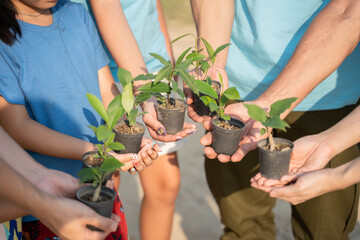 People cupping young tree. Nurture environmental and reduce global warming earth and growing concept
