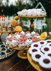 Candy bar at a wedding. Sweet table with eclairs and different handmade desserts, outdoors.