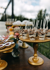 Candy bar at a party. Sweet table with tiramisu and different handmade desserts.