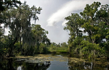 Bayou du sud des USA