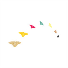 illustration of a colorful flying butterfly cycle