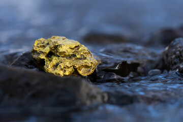 Gold Nugget mining from the River in Austria, real Gold.