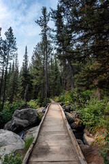 Trail  bridge foot path at Grand Teton National Park in Jackson Hole, Wyoming