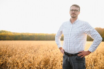 A farmer inspects a soybean field. The concept of the harvest.