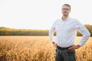 Naklejka na ściany i meble A farmer inspects a soybean field. The concept of the harvest.