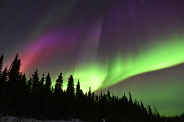 A colorful display of the aurora borealis, or northern lights, brightens a dark winter night near Fairbanks, Alaska. - obrazy, fototapety, plakaty