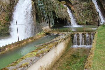 waterfall in the forest