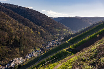 Steeger Tal in Bacharach