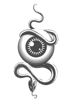 recommend clip art: Eye Ball and Snake Esoteric Tattoo