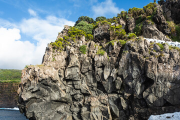 Azores Black Basalt Cliff Ocean Shore