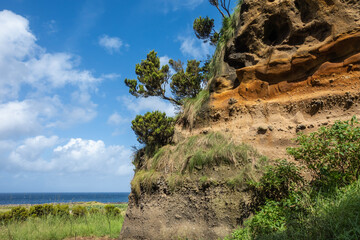 Azores Overgrown Hill with Clear Blue Sky and Ocean in the Background