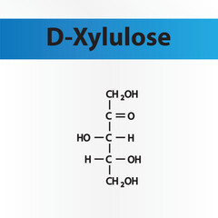 Straight chain form chemical structure of D-Xylulose sugar. Scientific vector illustration on white and blue background.
