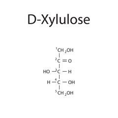 Straight chain form chemical structure of D-Xylulose sugar. Scientific vector illustration on white background, with carbon numbering.